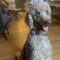 Bosun