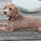 Casey (now Maple)