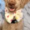 Toby