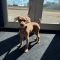 Kenzo